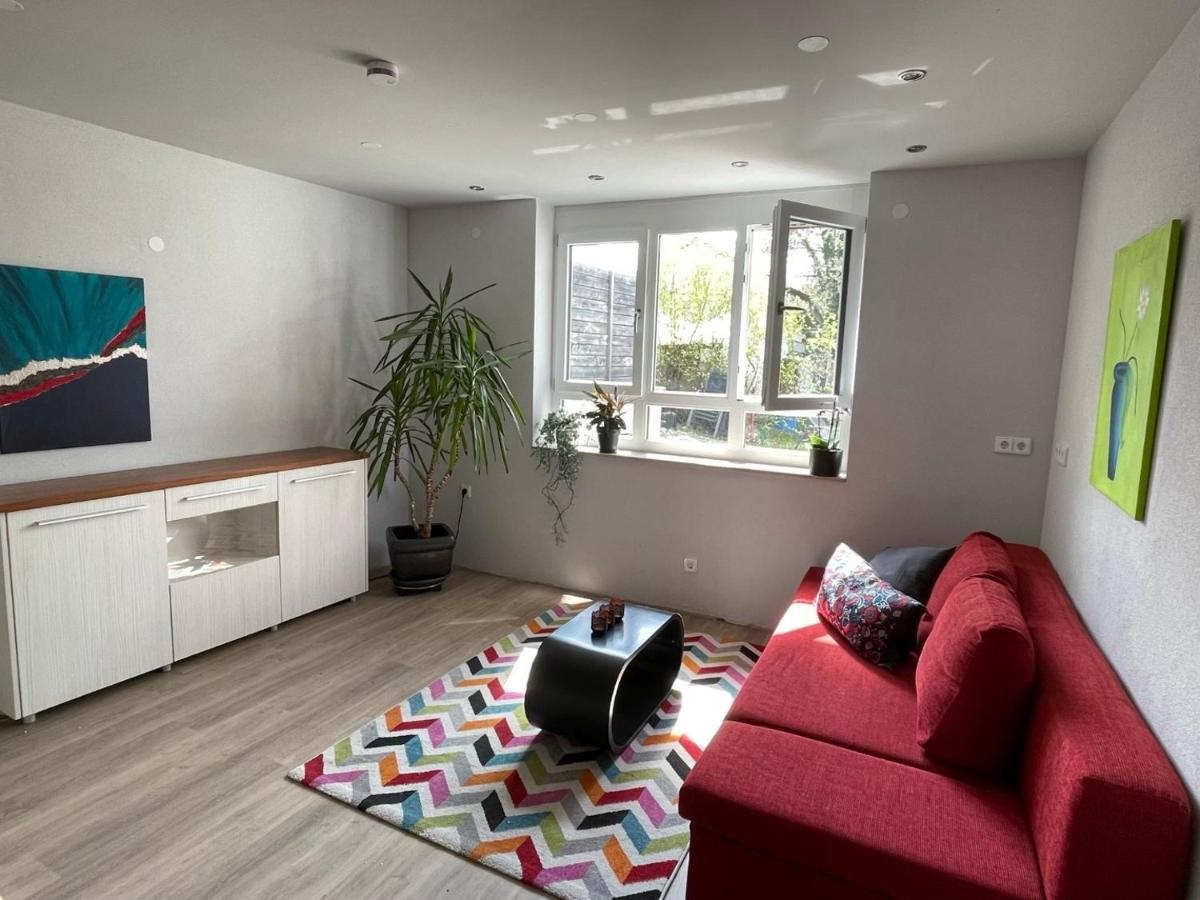 Apartamento Am Weinberg - stilvoll, ruhig, zum wohlfühlen Pfaffenweiler Exterior foto